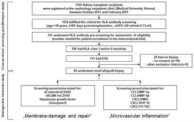 Non-invasive Chemokine Detection: Improved Prediction of Antibody-Mediated Rejection in Donor-Specific Antibody-Positive Renal Allograft Recipients